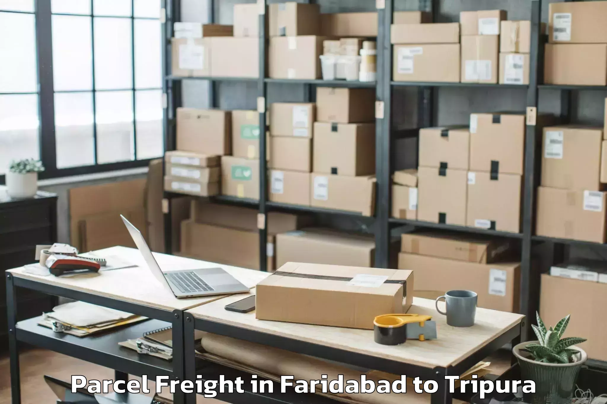 Easy Faridabad to Nit Agartala Parcel Freight Booking